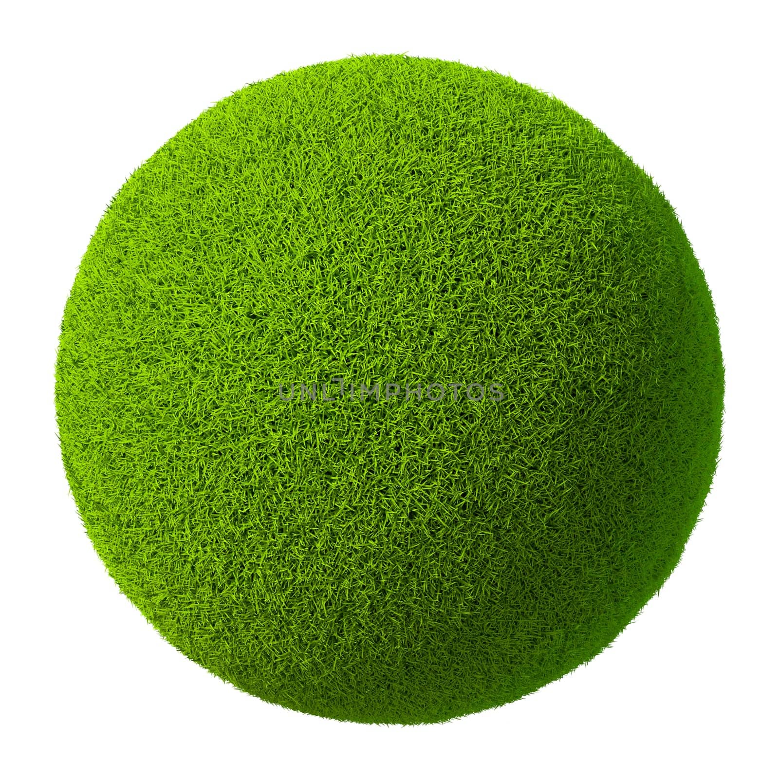 Green grass ball isolated on white background. 3d rendering