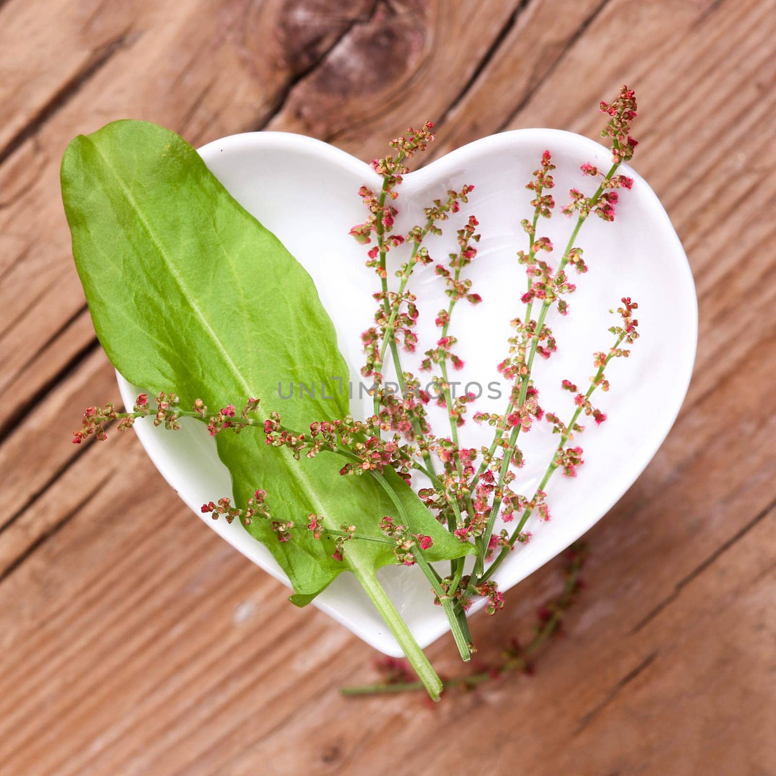 Homeopathy and cooking with medicinal herbs,ampfers