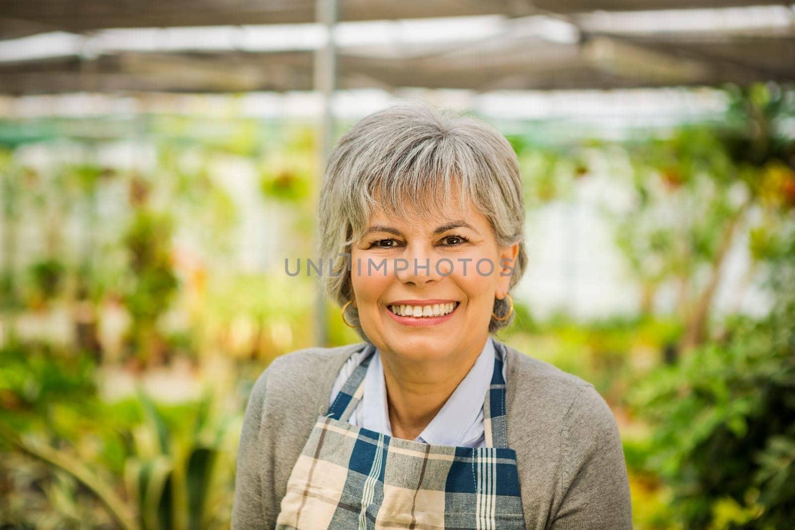 Beautiful mature woman working in a greenhouse holding flowers on her hands