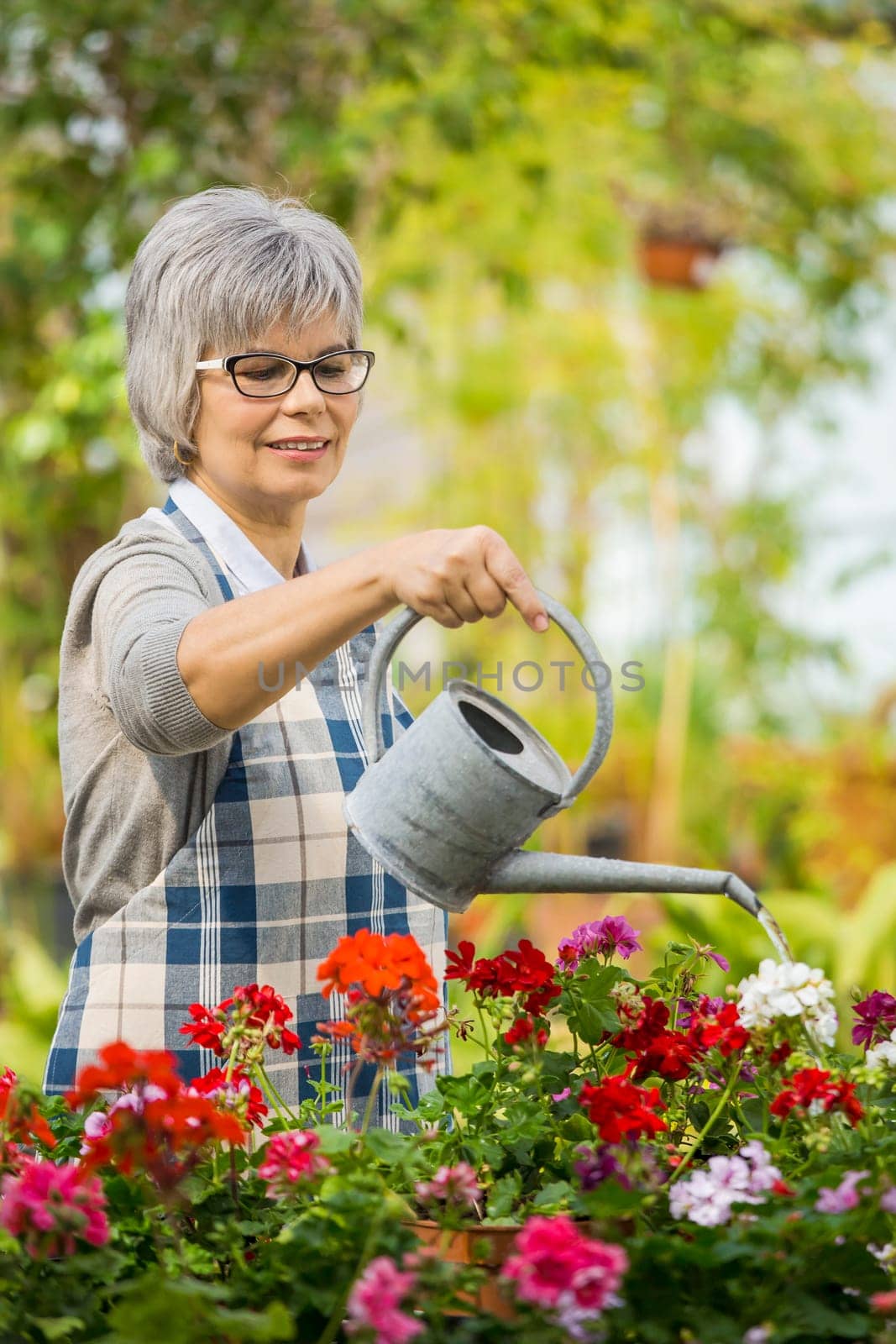Beautiful mature woman in a garden watering flowers