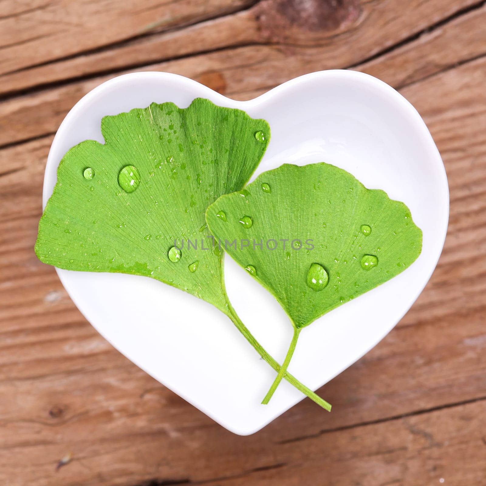 Homeopathy and cooking with medicinal herbs,ginkgo