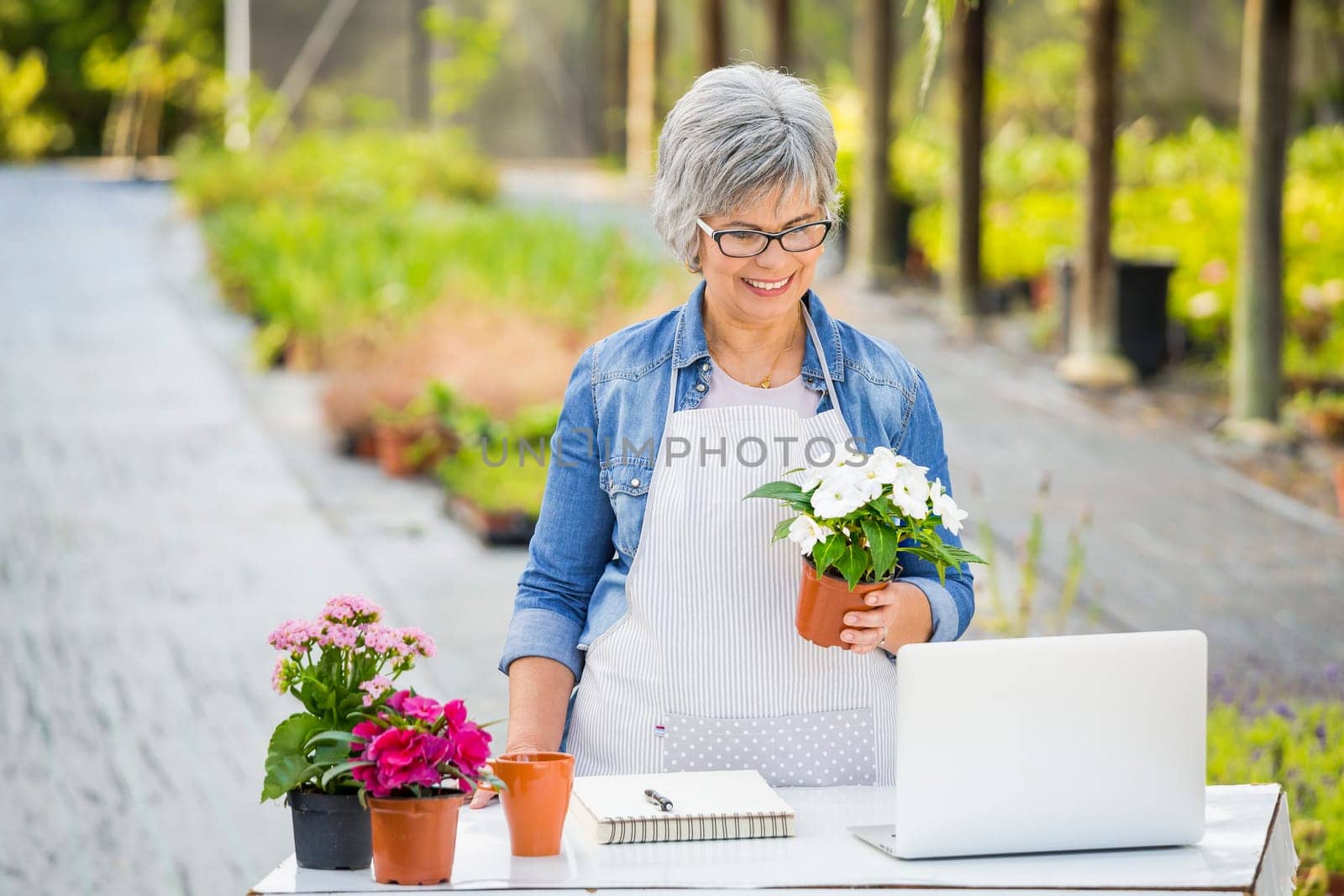 Beautiful mature woman working in a greenhouse holding flowers on her hands