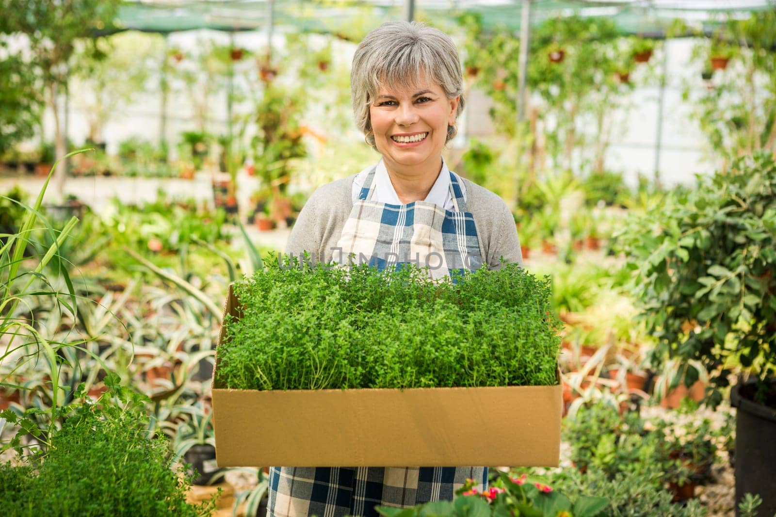 Beautiful mature woman working in a greenhouse holding flowers on her hands