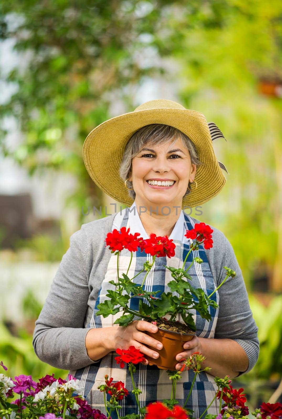 Beautiful mature woman working in a greenhouse holding flowers on her hands