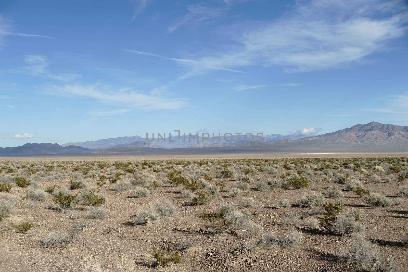 The panorama of a barren Mojave desert landscape with dry plants and tufts of grass.