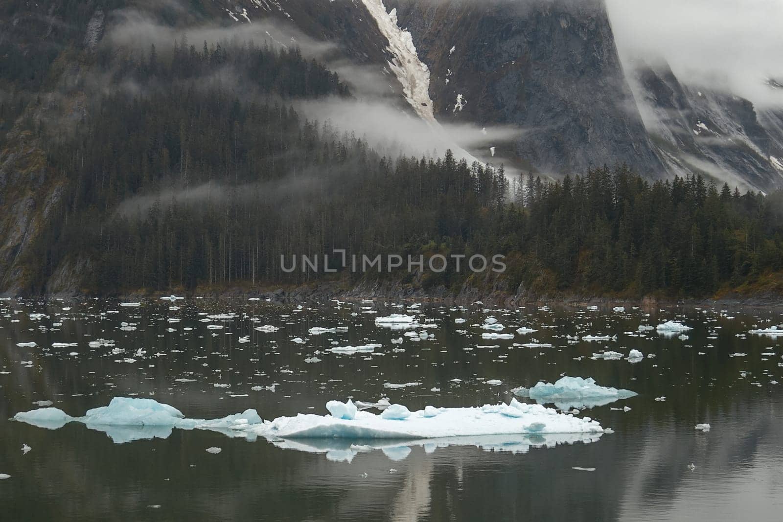 Landscape at Tracy Arm Fjords in Alaska, United States