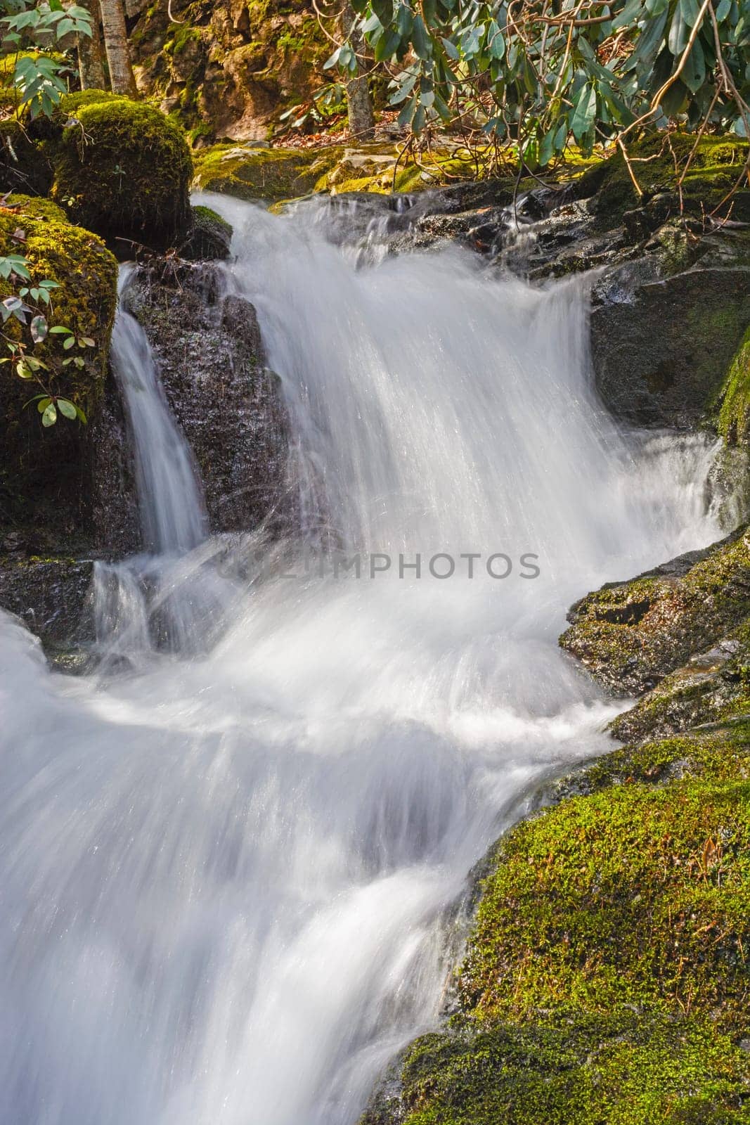 Rushing Cascade of the Huskey Branch Falls in the Great Smoky Mountains of Tennessee