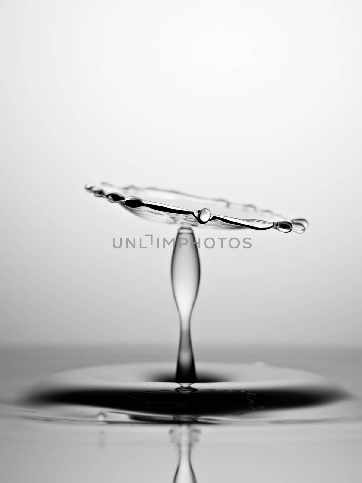 Water Drop Collision Macro, Black and White