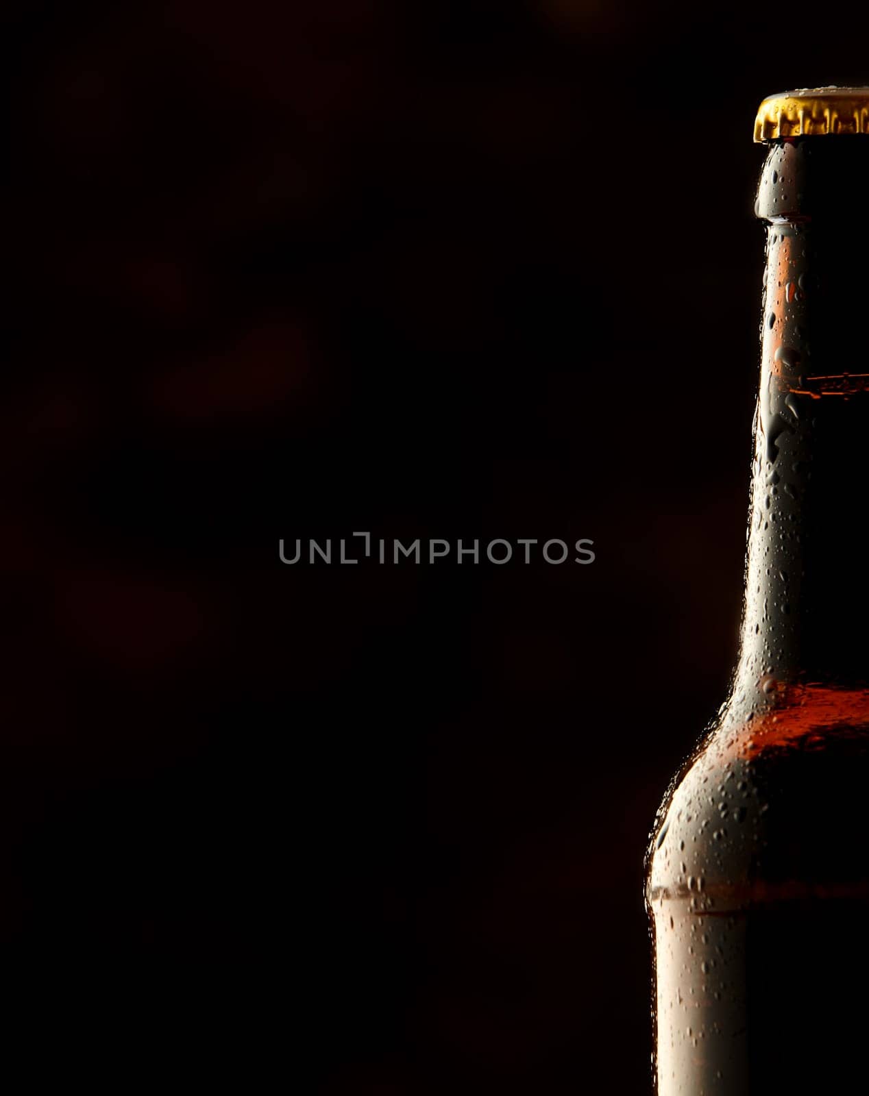 Cold frosted beer bottle border with a partial view of a sealed full bottle of lager or beer over a black background with copy space