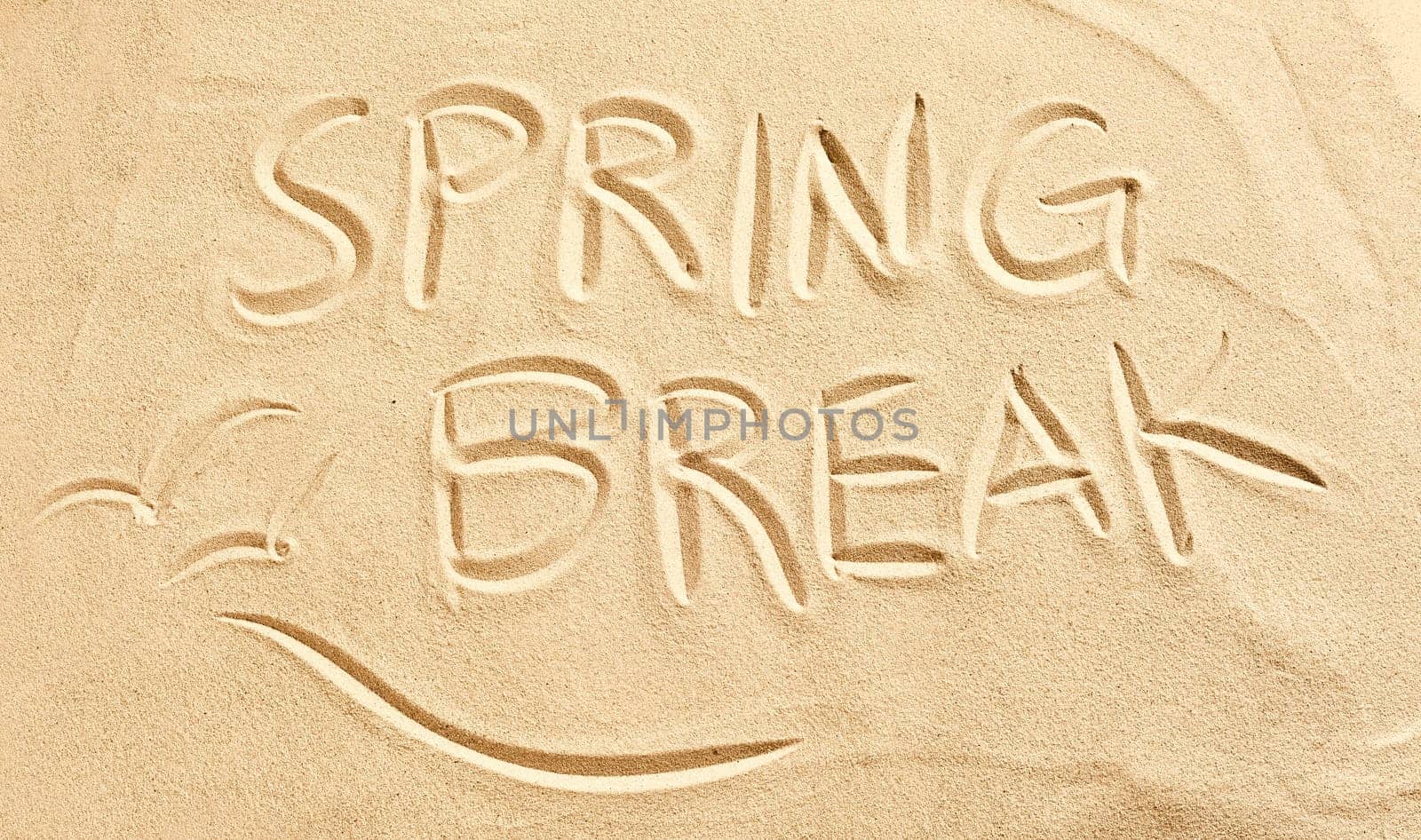 Spring Break and flying birds or seagulls drawn in golden beach sand conceptual of travel and a seaside vacation in the tropics
