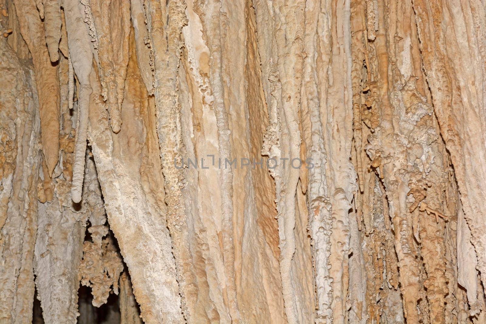 Stalactite Details in a Carlsbad Cavern in New Mexico