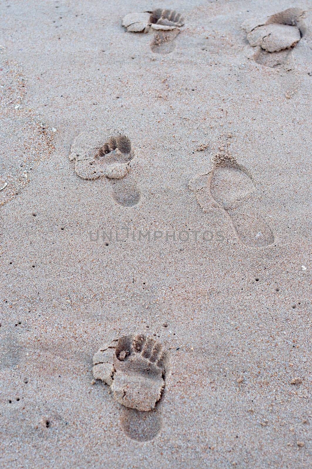 Footprints on the beach