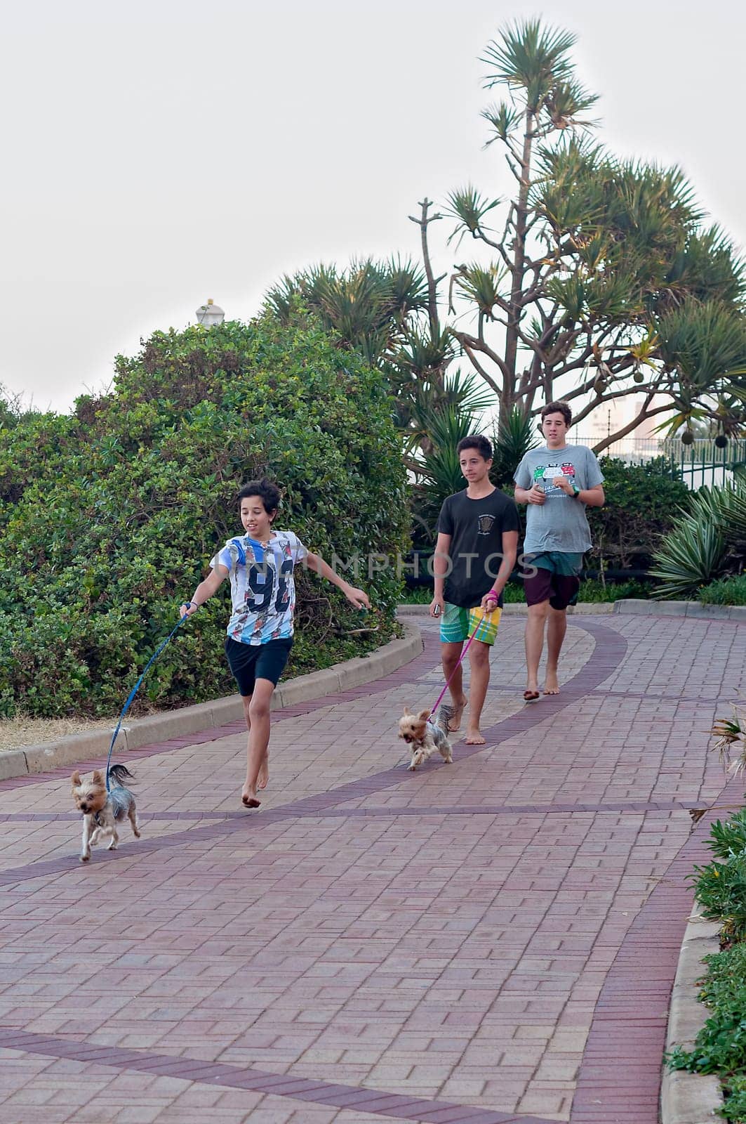 DURBAN, SOUTH AFRICA - JULY 11, 2016: Young boys walking their small dogs along the promenade at Umhlanga Rocks beach