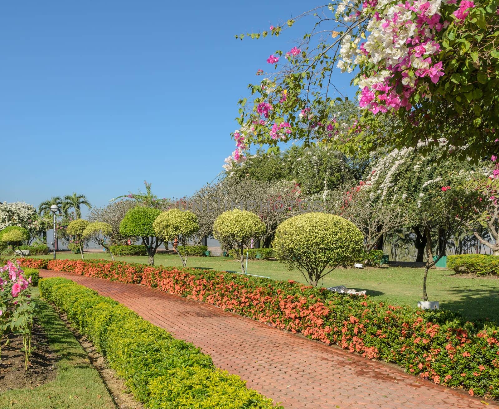 Stone tiled pavement in ornamental flower garden