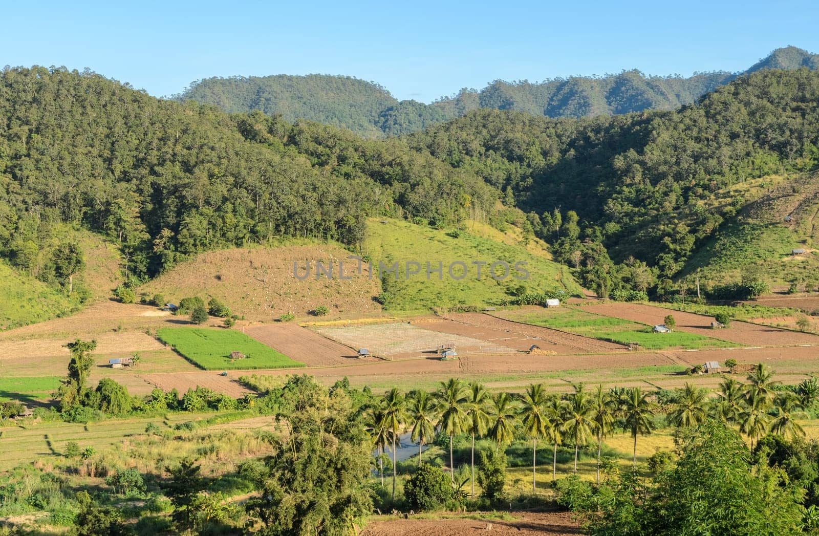 Beautiful aerial view of countryside farming in the mountain valley in Mae Hong Son, Thailand