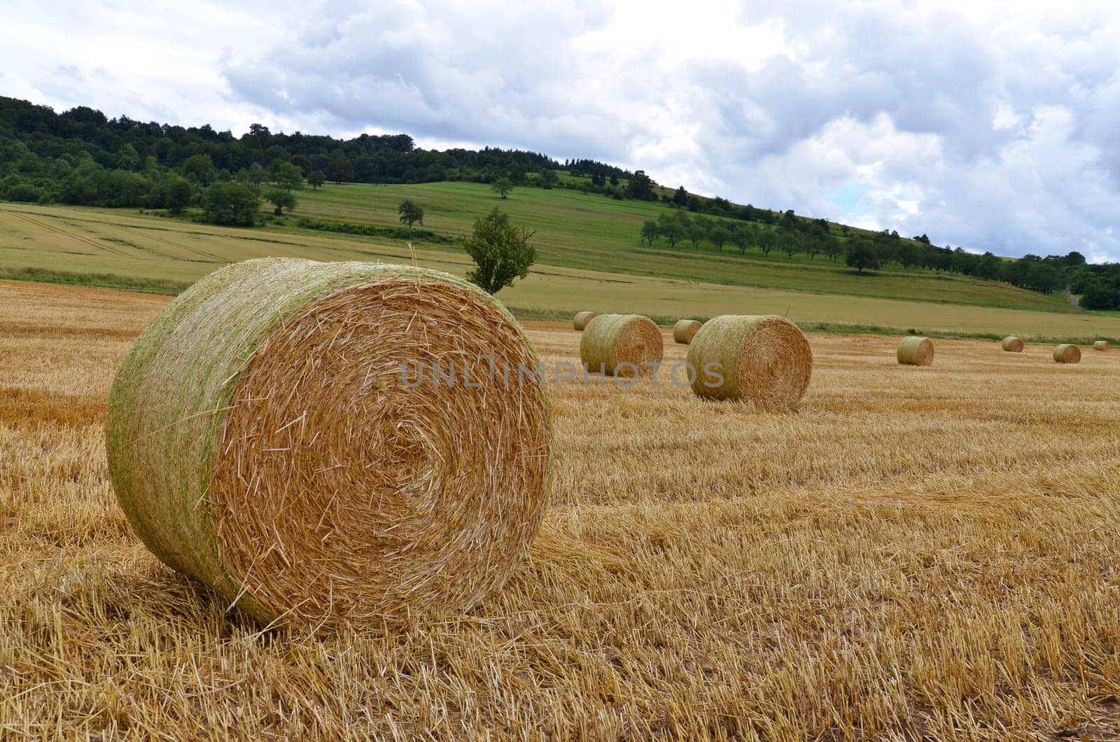 Field with straw bales