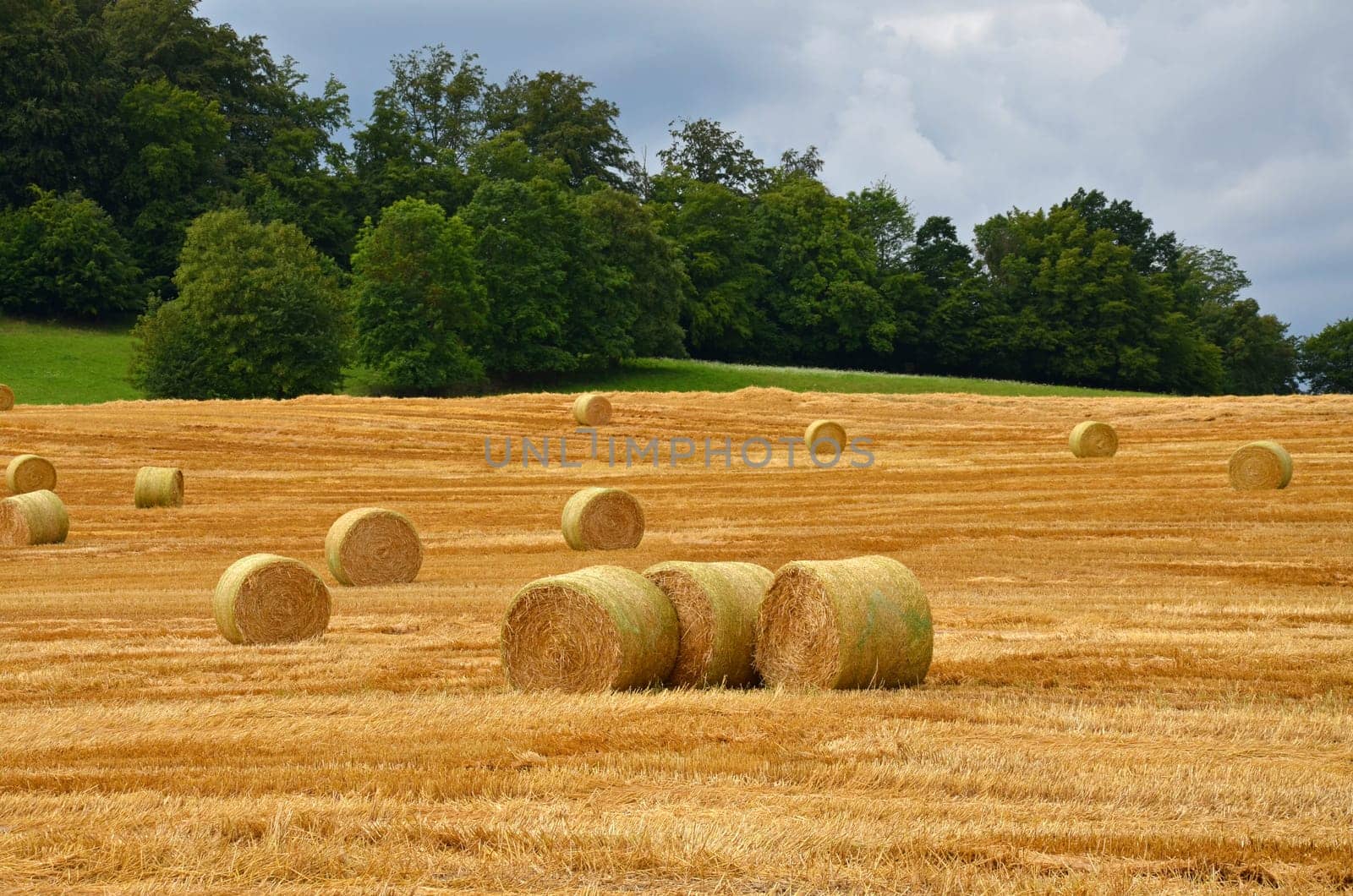 Field with straw bales