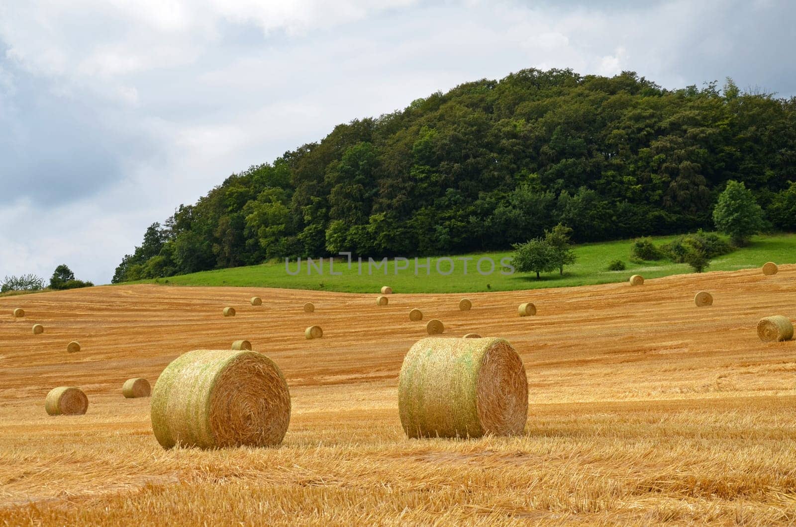 Field with straw bales