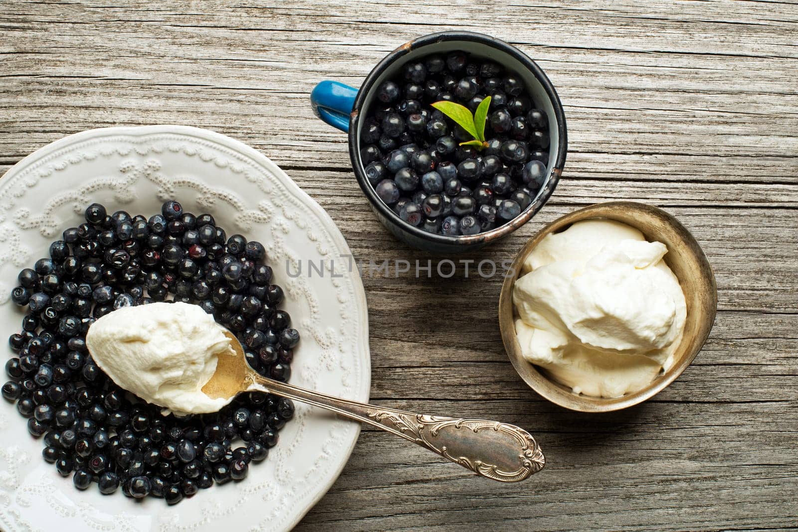 Forest blueberries with sweet cream served on plate