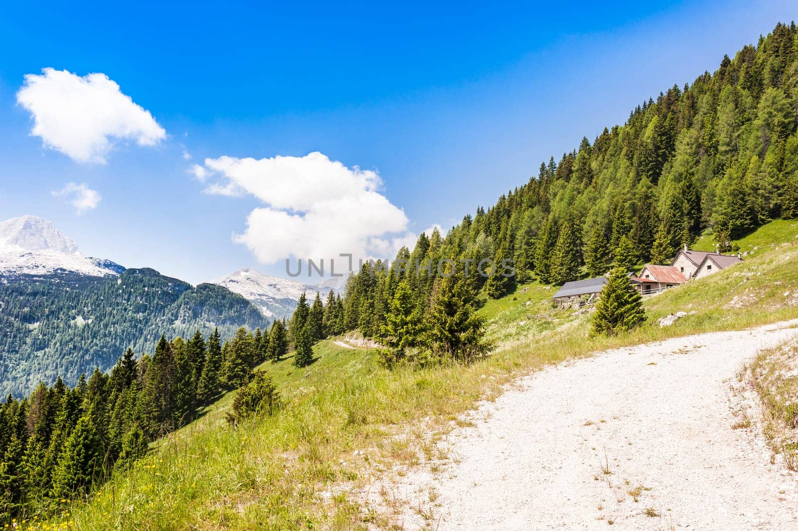 Mountain landscape with small farm (malga , Alpine hut.)for mountain pasture of cows in summer. Julian Alps, Italy
