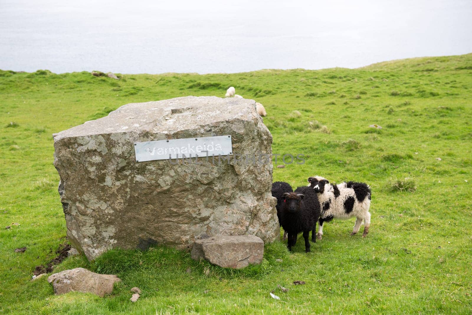 Varmakelda on Eysturoy on the Faroe Islands with sheep