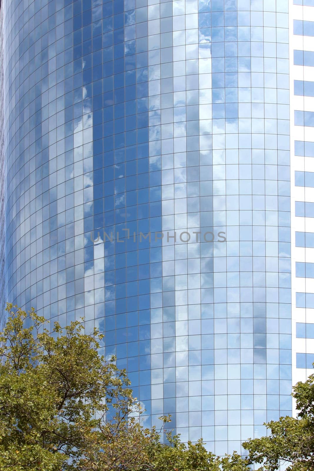 Modern office buildings and skyscraper background perspective