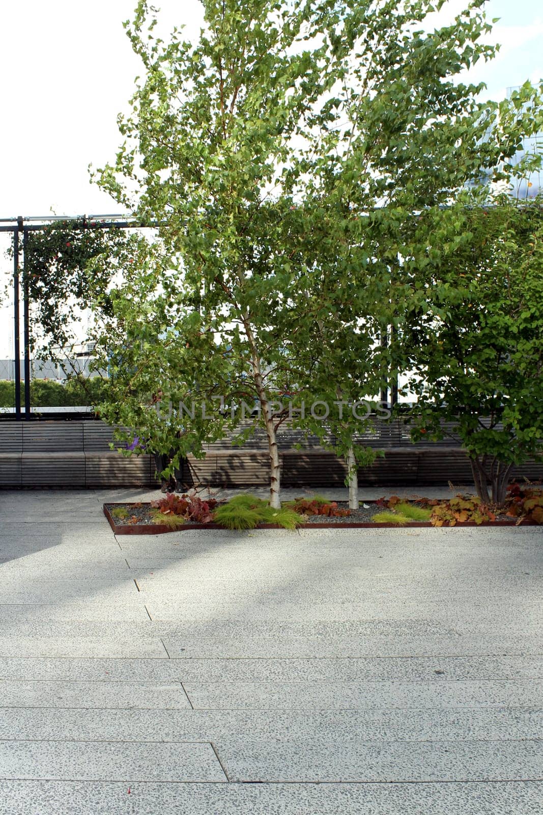 High Line. Elevated pedestrian Park and former elevated New York Central Railroad spur called the West Side Line, which runs along the lower west side of Manhattan  it has been redesigned and planted as an aerial greenway. New York City.