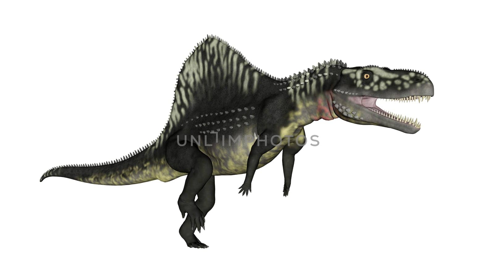 Arizonasaurus dinosaur standing up mouth open in white background- 3D render