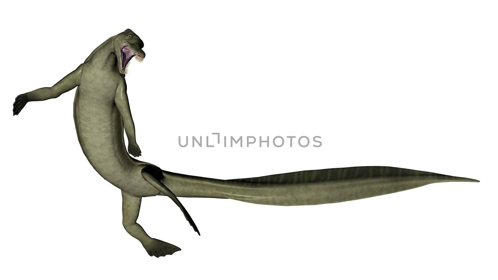 Mesosaurus dinosaur in white background- 3D render