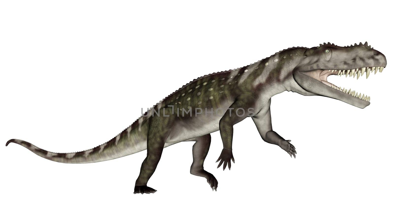 Prestosuchus dinosaur roaring in white background- 3D render
