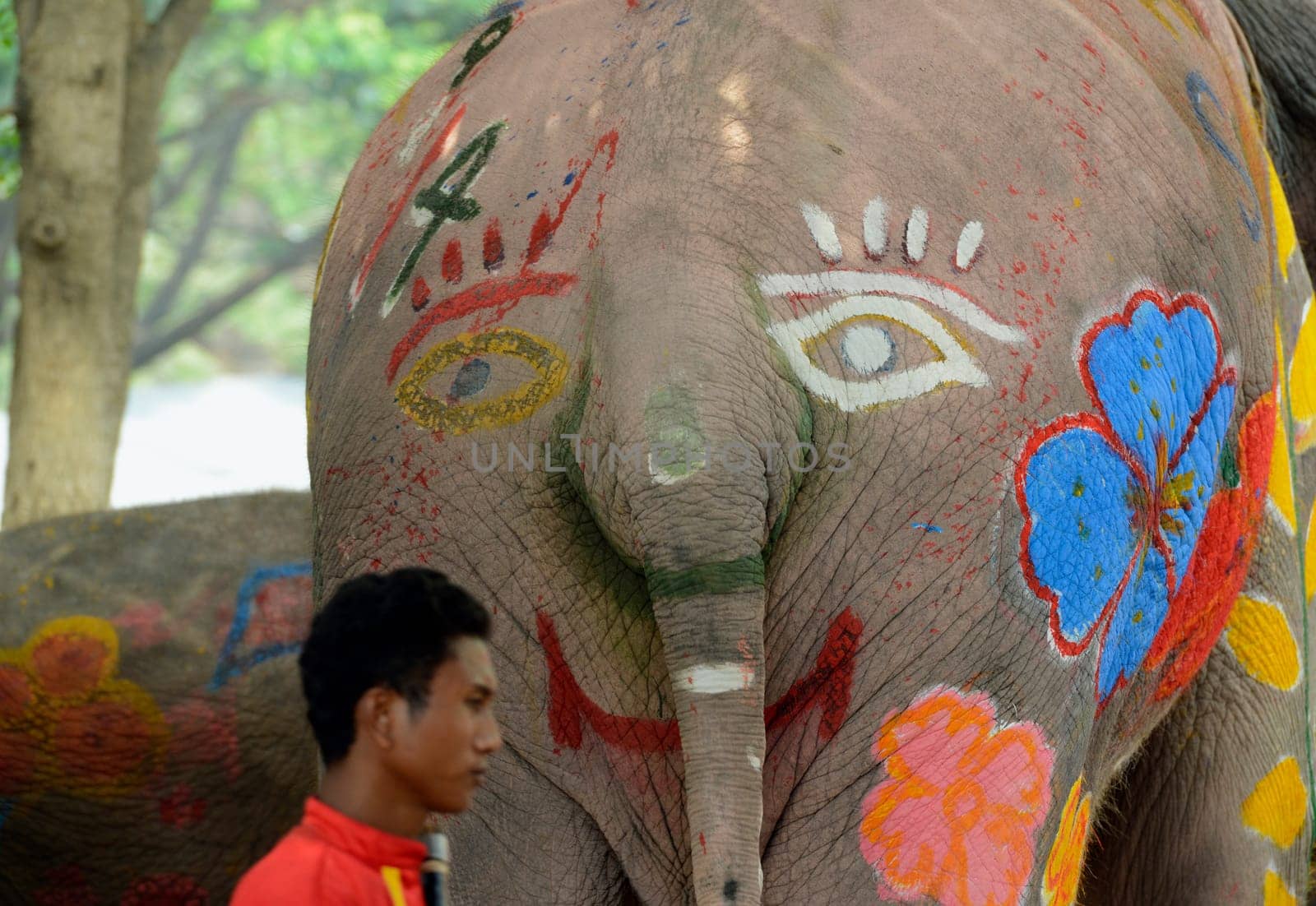 The Thai New Year or Songkran Festival or Water festival in the city of Ayutthaya north of Bangkok in Thailand in Southeastasia.