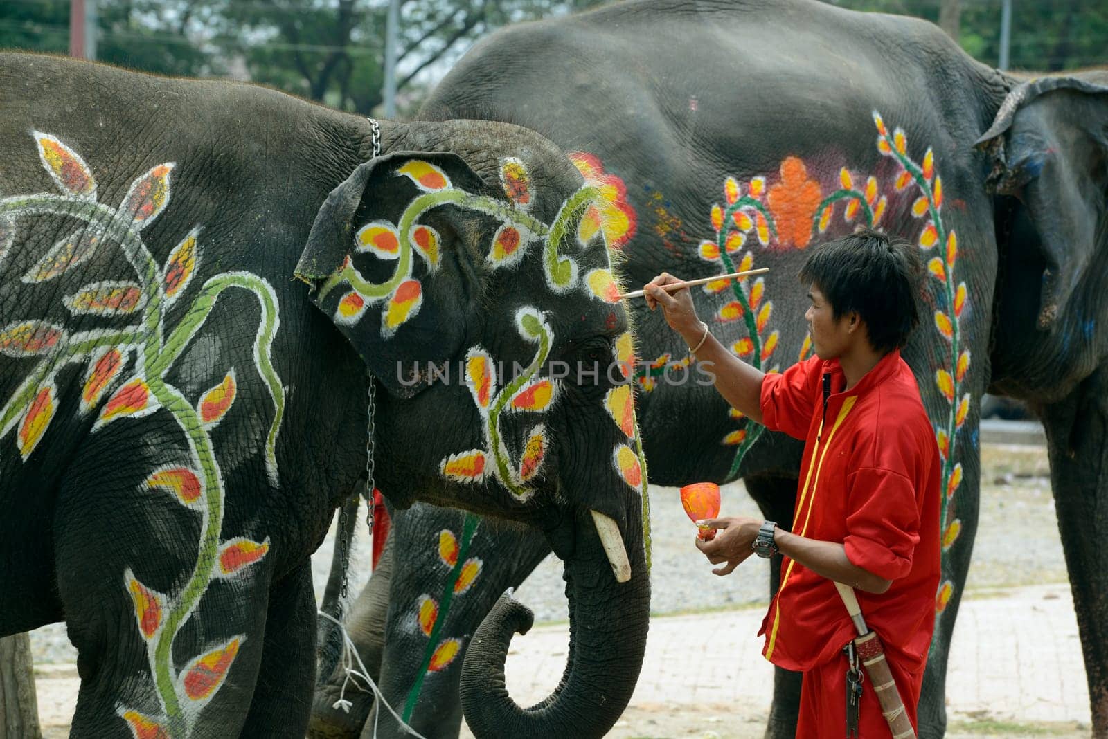 The Thai New Year or Songkran Festival or Water festival in the city of Ayutthaya north of Bangkok in Thailand in Southeastasia.