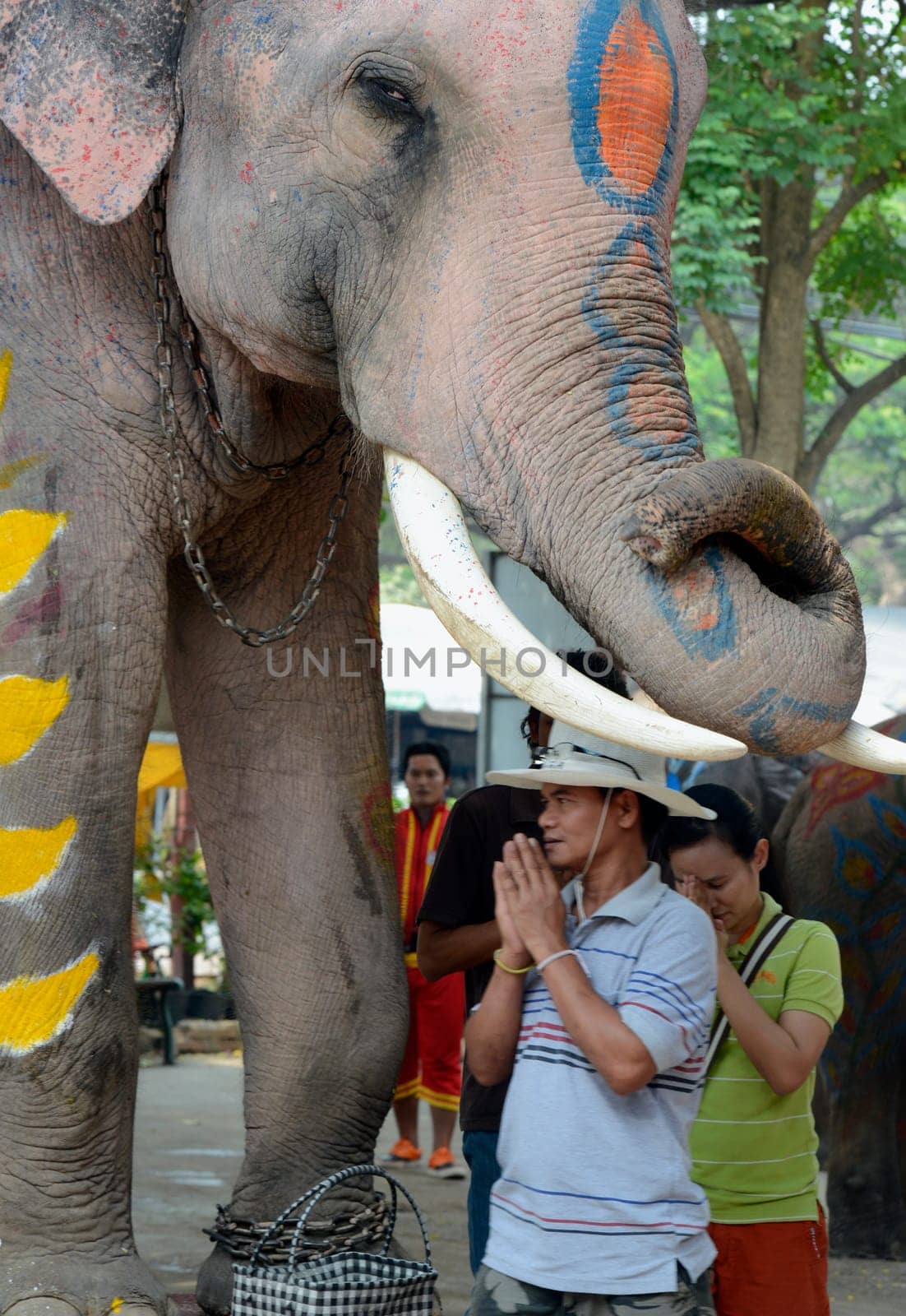 The Thai New Year or Songkran Festival or Water festival in the city of Ayutthaya north of Bangkok in Thailand in Southeastasia.