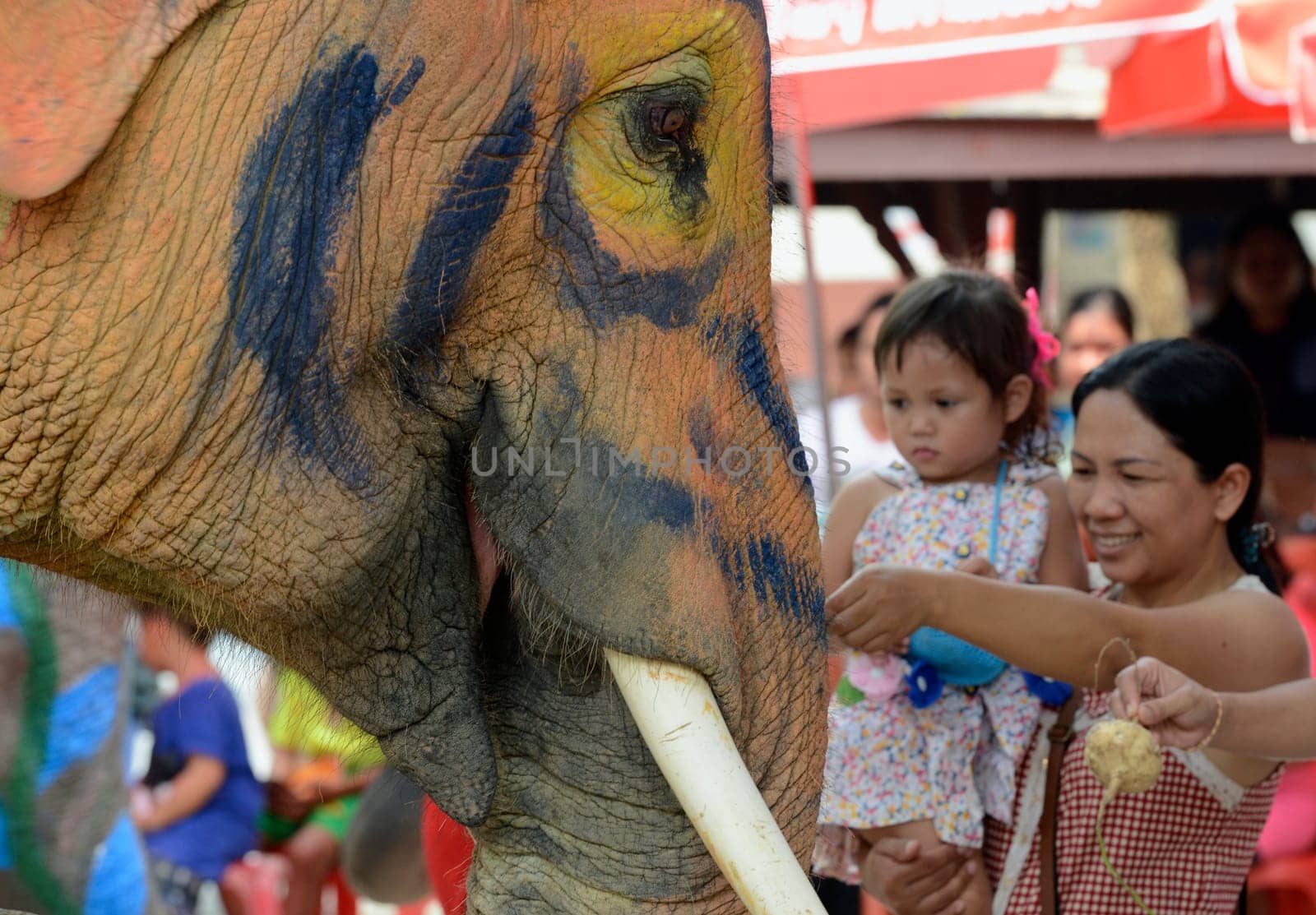 The Thai New Year or Songkran Festival or Water festival in the city of Ayutthaya north of Bangkok in Thailand in Southeastasia.