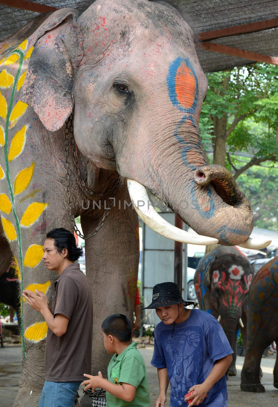 The Thai New Year or Songkran Festival or Water festival in the city of Ayutthaya north of Bangkok in Thailand in Southeastasia.