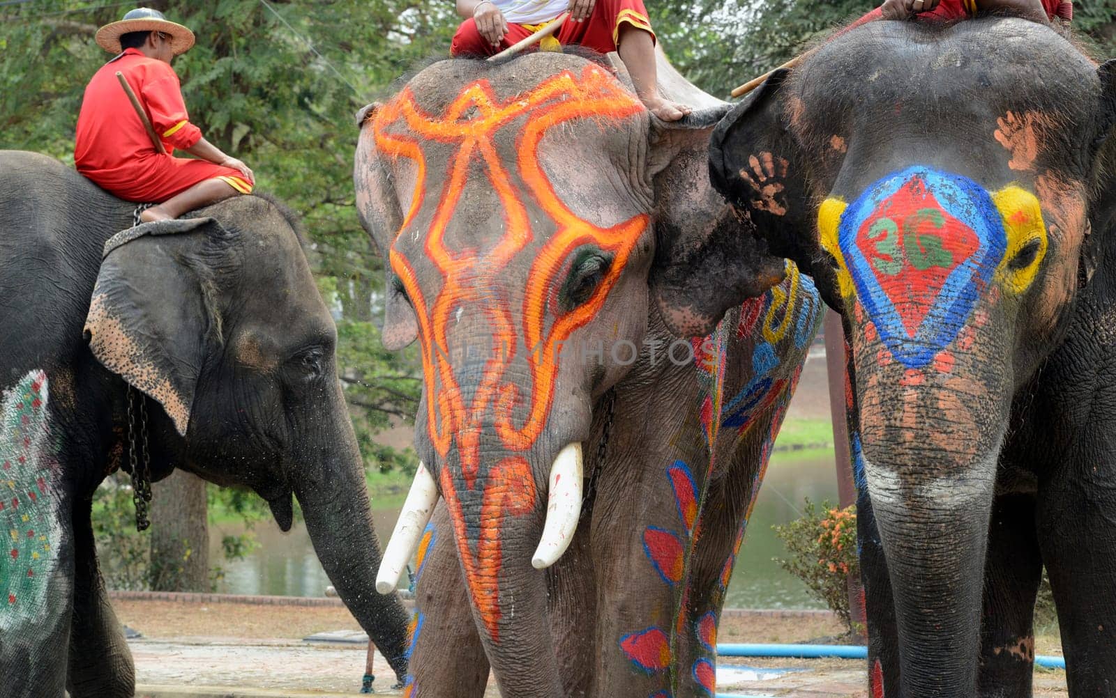The Thai New Year or Songkran Festival or Water festival in the city of Ayutthaya north of Bangkok in Thailand in Southeastasia.