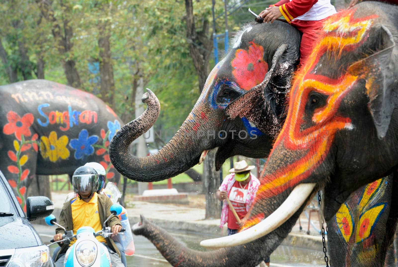 The Thai New Year or Songkran Festival or Water festival in the city of Ayutthaya north of Bangkok in Thailand in Southeastasia.