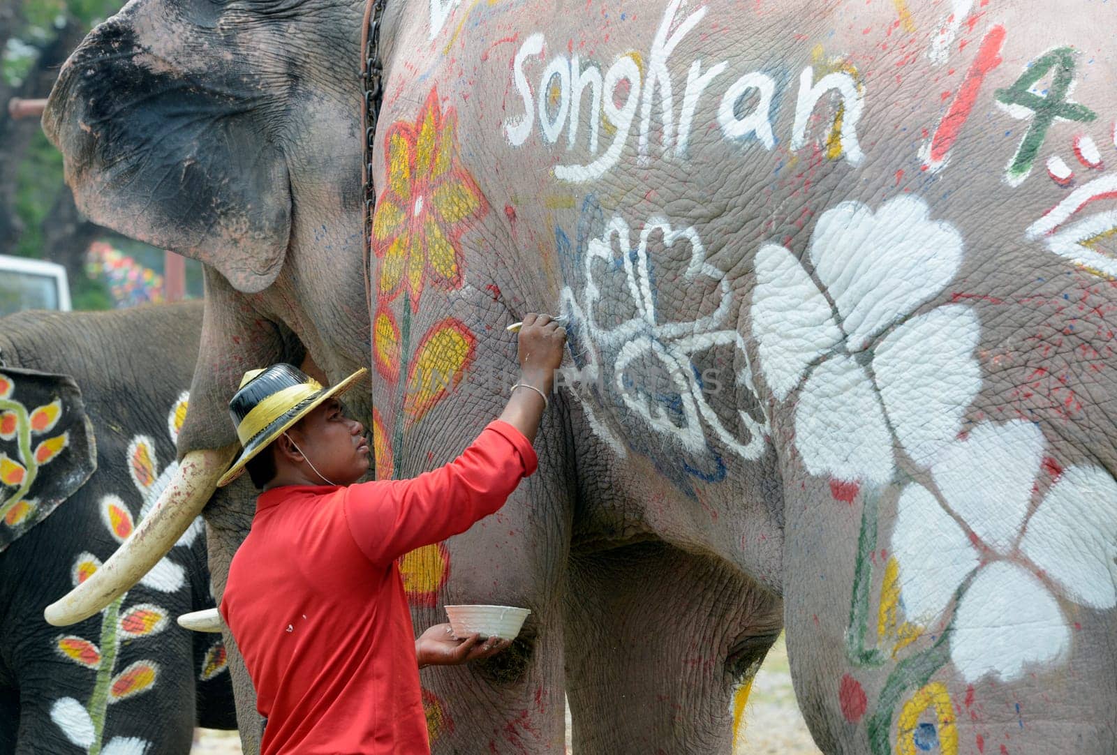 The Thai New Year or Songkran Festival or Water festival in the city of Ayutthaya north of Bangkok in Thailand in Southeastasia.