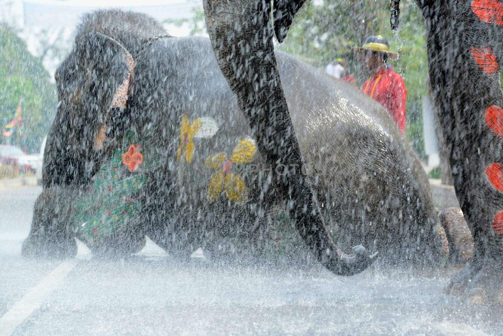 The Thai New Year or Songkran Festival or Water festival in the city of Ayutthaya north of Bangkok in Thailand in Southeastasia.