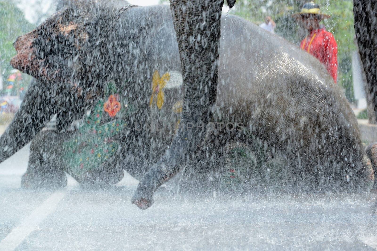 The Thai New Year or Songkran Festival or Water festival in the city of Ayutthaya north of Bangkok in Thailand in Southeastasia.