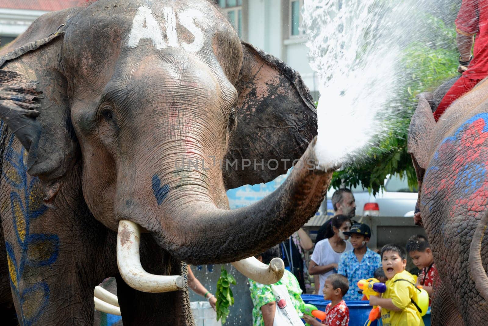 The Thai New Year or Songkran Festival or Water festival in the city of Ayutthaya north of Bangkok in Thailand in Southeastasia.