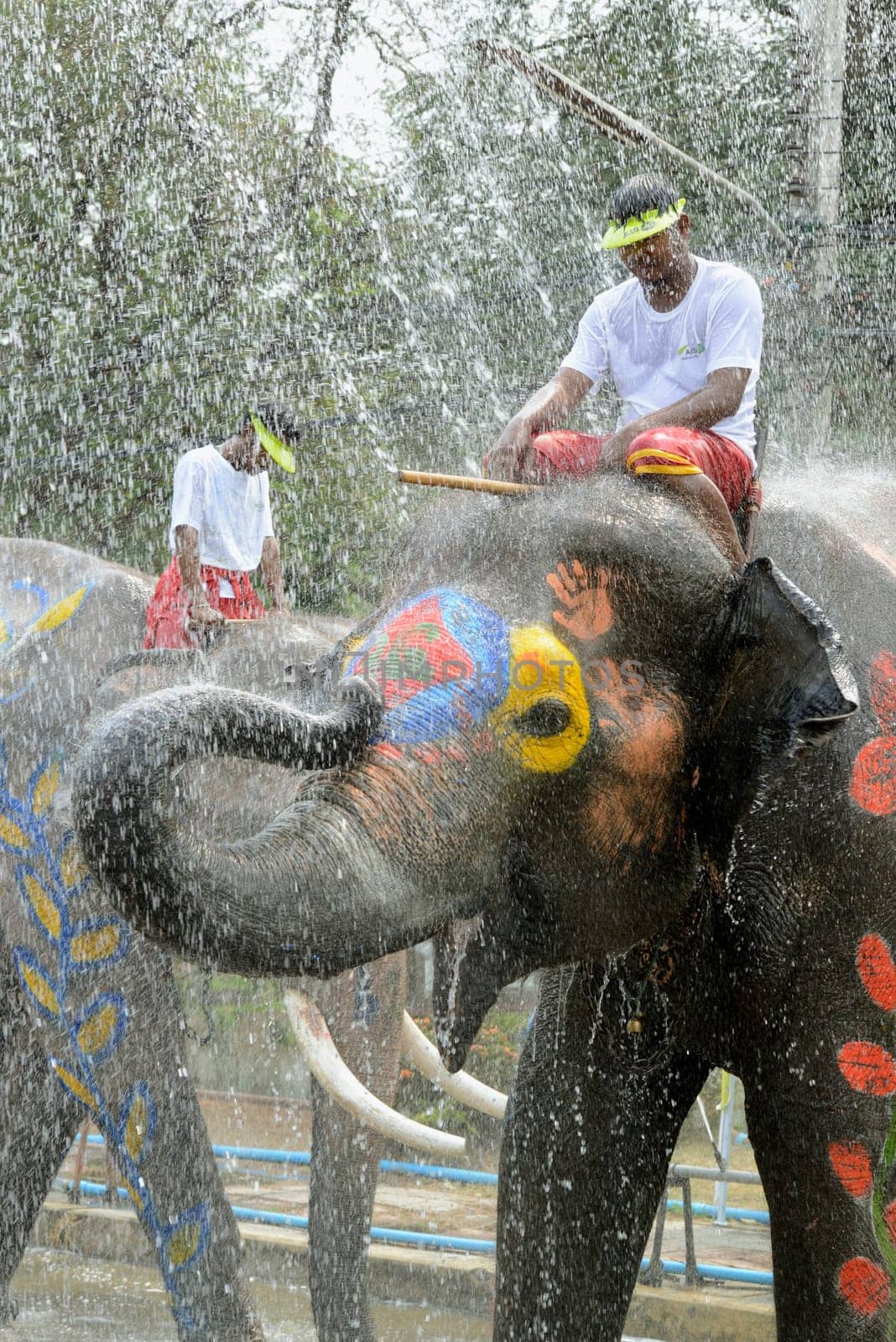The Thai New Year or Songkran Festival or Water festival in the city of Ayutthaya north of Bangkok in Thailand in Southeastasia.