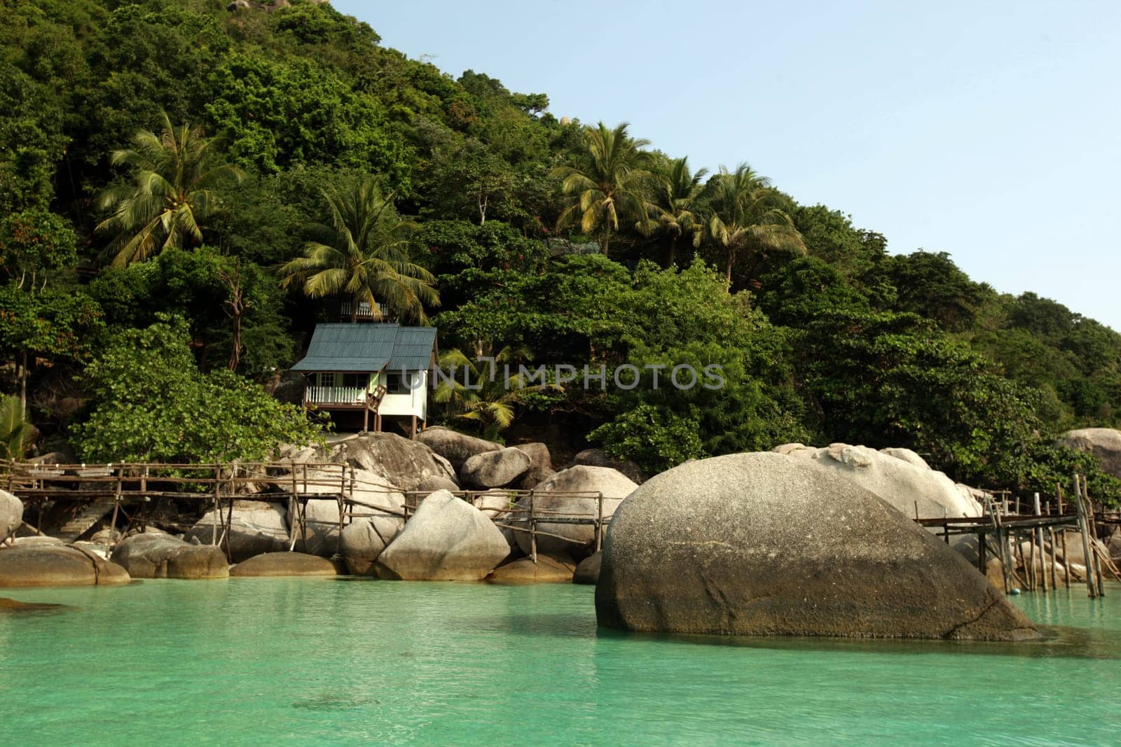the smal Island of  Ko Nang Yuan near the Ko Tao Island in the Gulf of Thailand in the southeast of Thailand in Southeastasia.