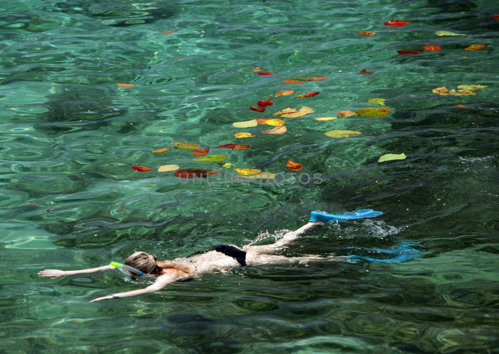 the Cape Je Ta Gang Beach on the Ko Tao Island in the Gulf of Thailand in the southeast of Thailand in Southeastasia.