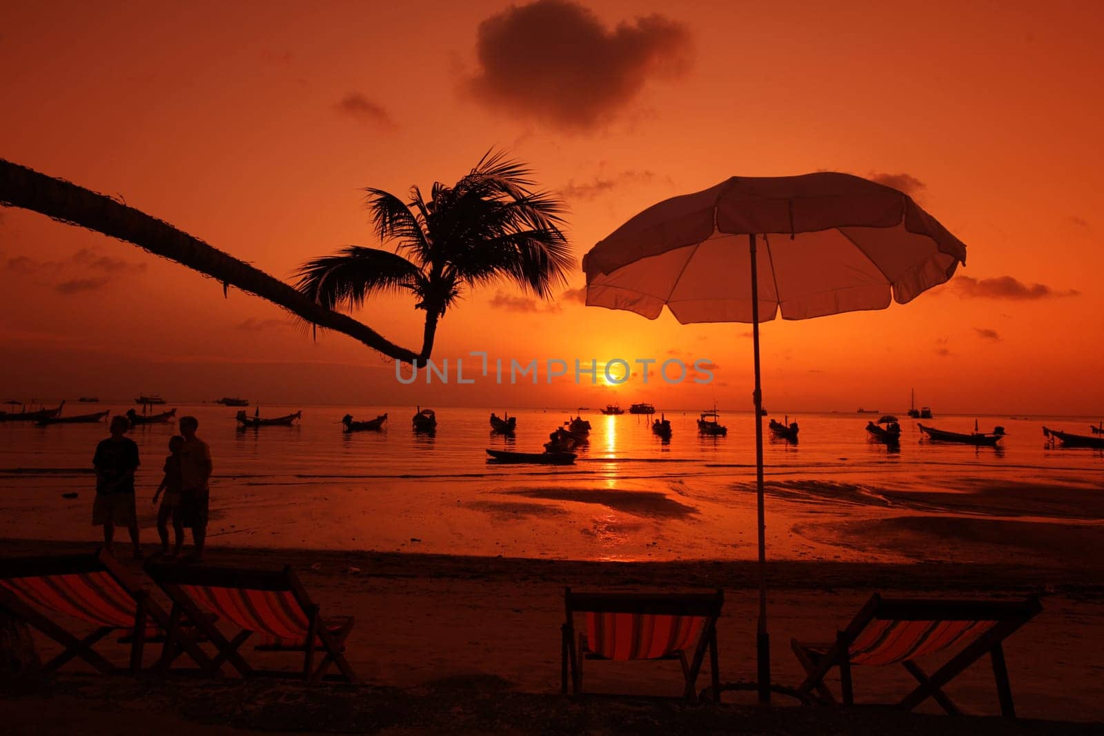 the Beach at Hat Sai Ri on thel Ko Tao Island in the Gulf of Thailand in the southeast of Thailand in Southeastasia.