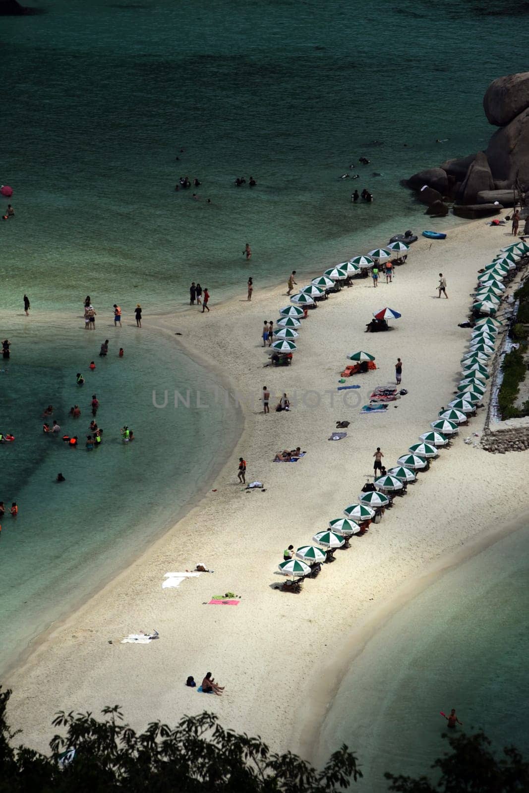 the smal Island of  Ko Nang Yuan near the Ko Tao Island in the Gulf of Thailand in the southeast of Thailand in Southeastasia.