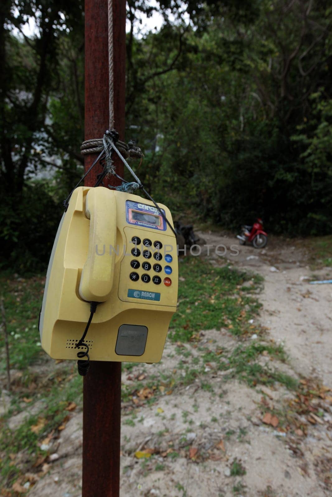 a telephone on the Tanote Bay Beach on the Ko Tao Island in the Gulf of Thailand in the southeast of Thailand in Southeastasia.