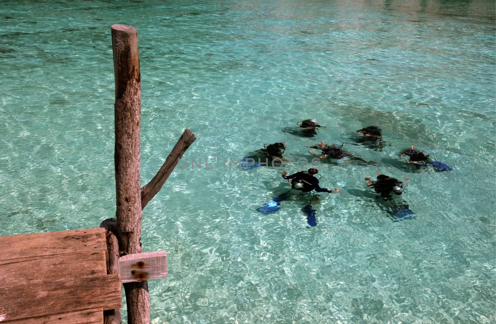 the smal Island of  Ko Nang Yuan near the Ko Tao Island in the Gulf of Thailand in the southeast of Thailand in Southeastasia.