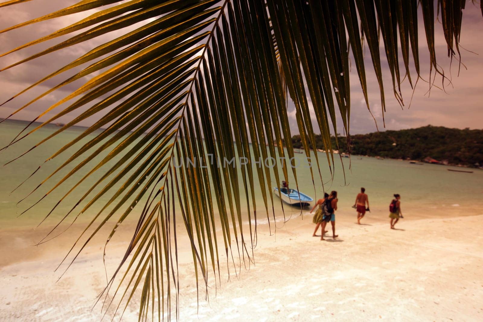 the Mae Hat Bay Beach on the Ko Tao Island in the Gulf of Thailand in the southeast of Thailand in Southeastasia.