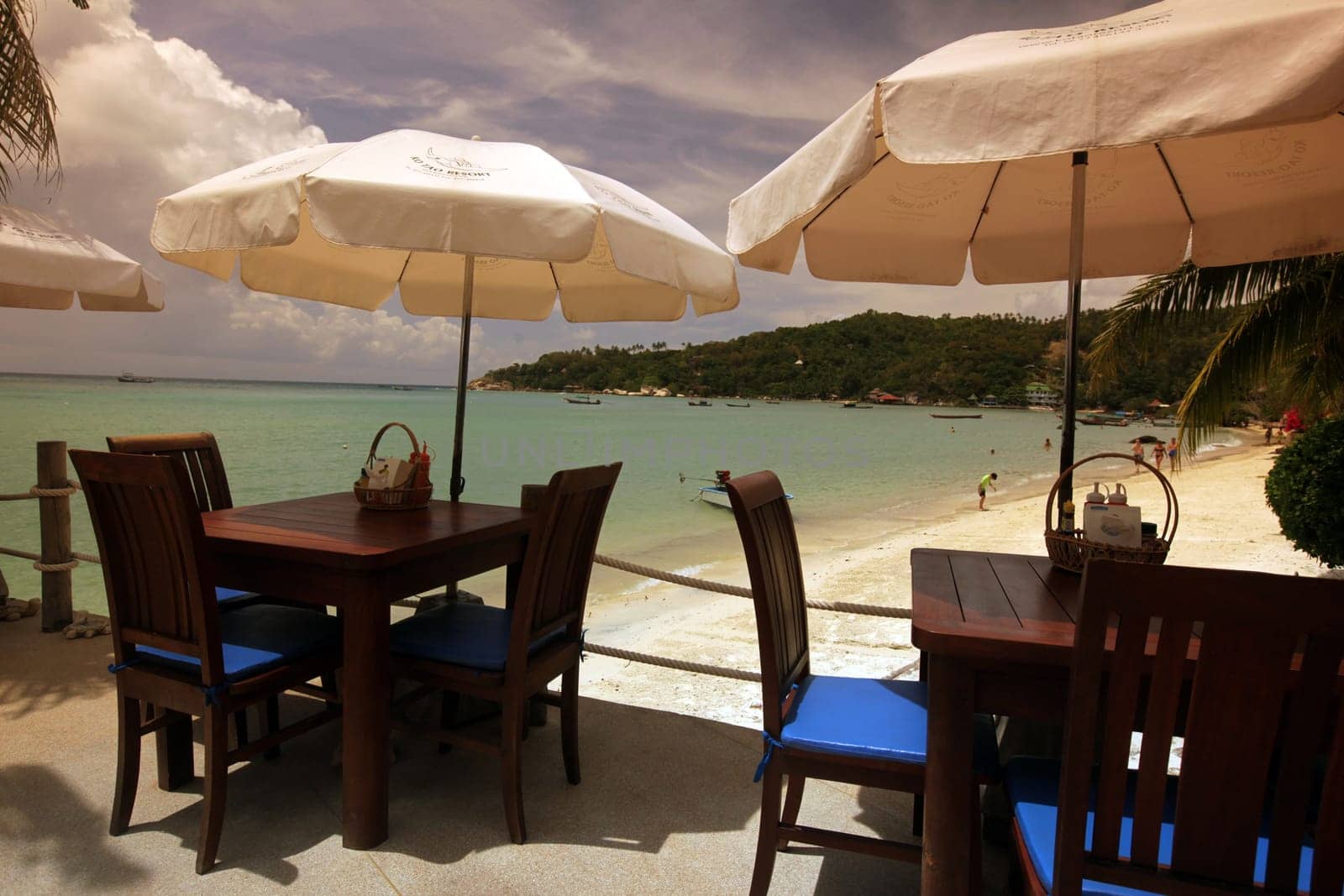 the Mae Hat Bay Beach on the Ko Tao Island in the Gulf of Thailand in the southeast of Thailand in Southeastasia.